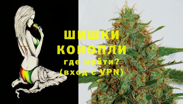 spice Рославль
