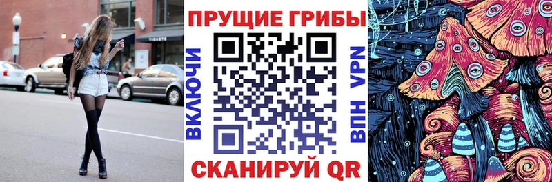 гидра tor Александровск Псилоцибиновые грибы Psilocybine cubensis